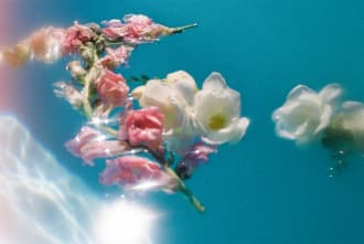 Pink and white blossoms floating on turquoise water