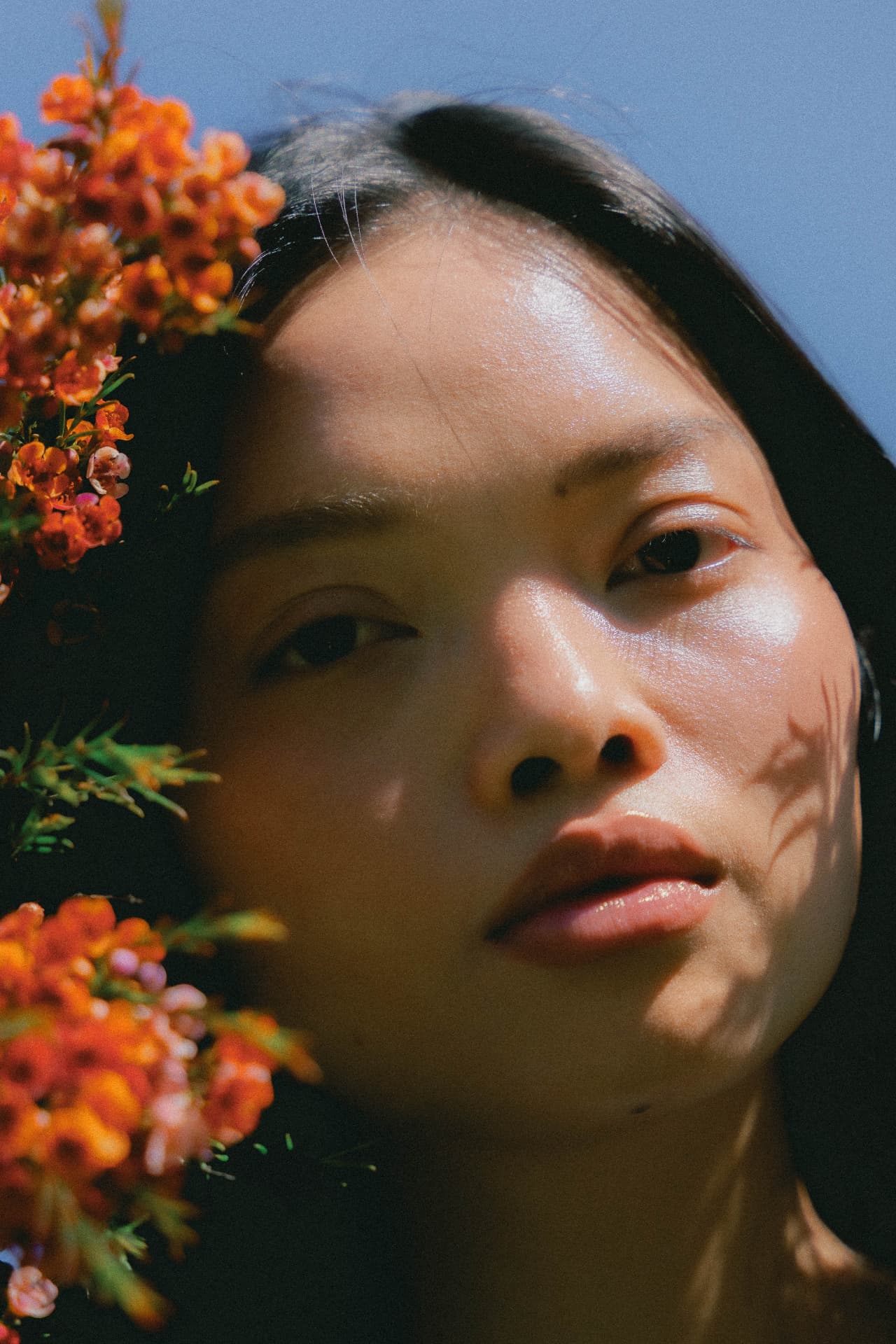 A portrait in afternoon light beside orange wax flower